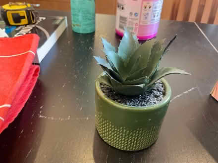 Photo of free Habitat faux floral succulent (Hampstead, mw3) #1