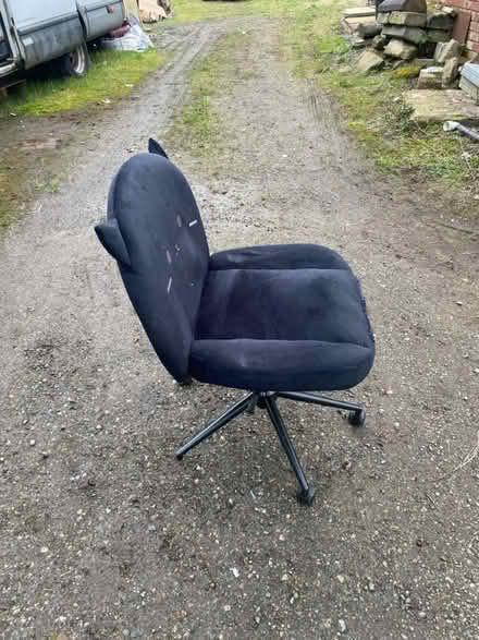 Photo of free Cat chair (Golborne) #2
