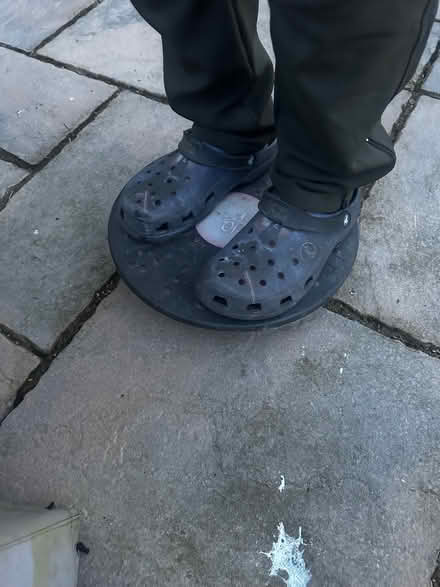 Photo of free Balance board (North Bersted PO22) #2