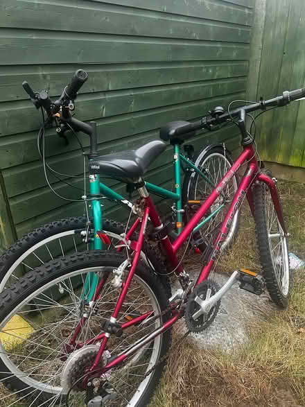 Photo of free Pink bike (C04) #1