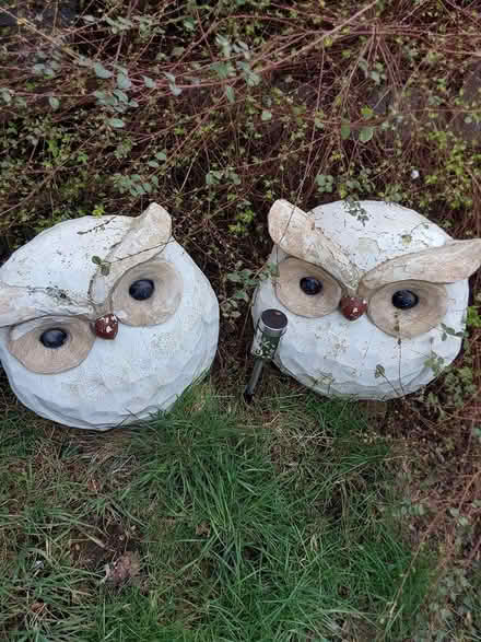 Photo of free Garden ornaments (Rothwell LS26) #1