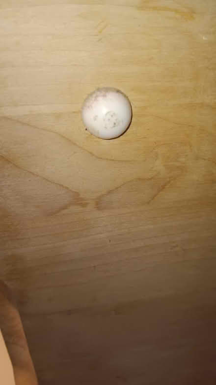 Photo of free Large carving or serving board (19095) #3