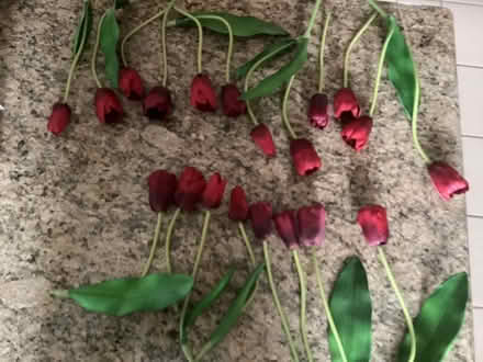 Photo of free Silk-like faux tulips (Holmdel/Takolusa Drive) #1
