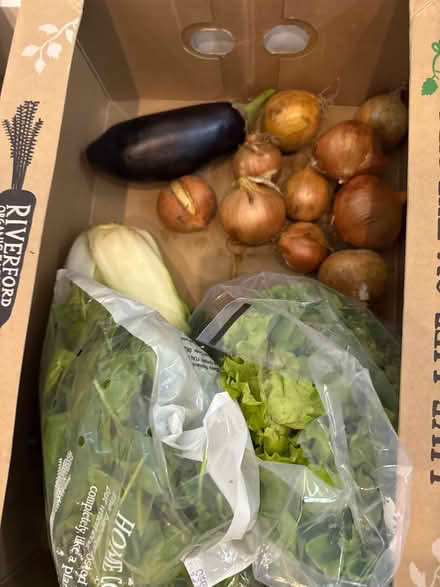 Photo of free Left over food box (ha28qz) #1