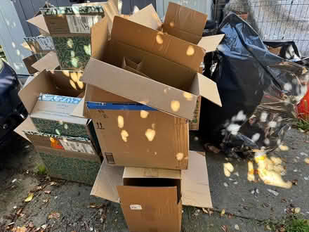 Photo of free Boxes & scads of clean pking paper (Oakland) #1