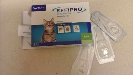 Photo of free EFFIPRO spot-on for cats (Shawlands) #1