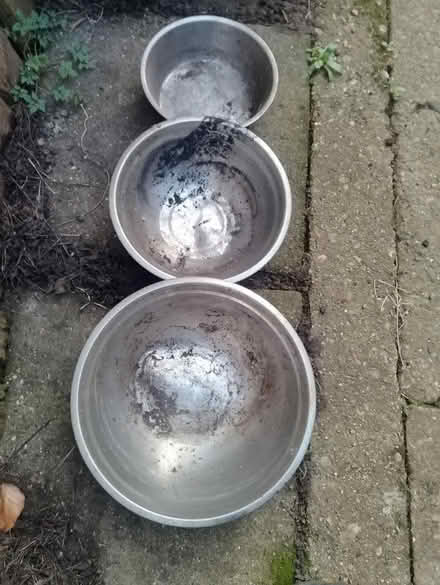Photo of free Dog bowls (Yalding ME18) #1