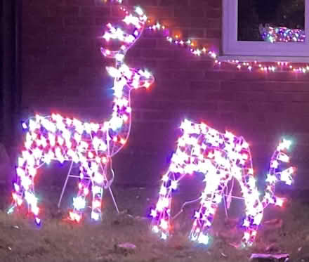 Photo of free Christmas Reindeers (DY1) #1