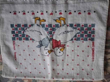 Photo of free 1 kitchen towel (Styvechale, Coventry) #1