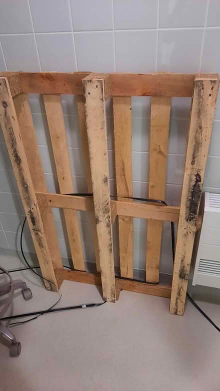 Photo of free Pallet (Rose Hill OX4) #1