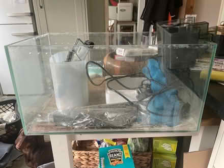 Photo of free Small 25L fish/shrimp tank (Northlands Wood) #1