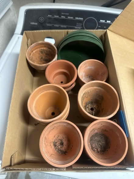 Photo of free Bunch of small flower pots (Castro Valley) #1