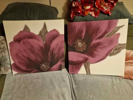 Photo of free Flower Canvases (Barton/Headington, OX3) #1