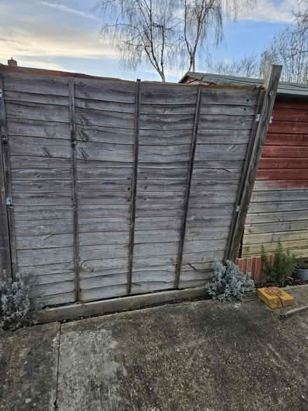 Photo of free Fence panels (Orpington, BR5) #3