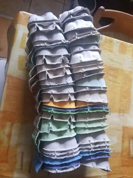 Photo of free Empty egg boxes (Corstorphine EH12) #1