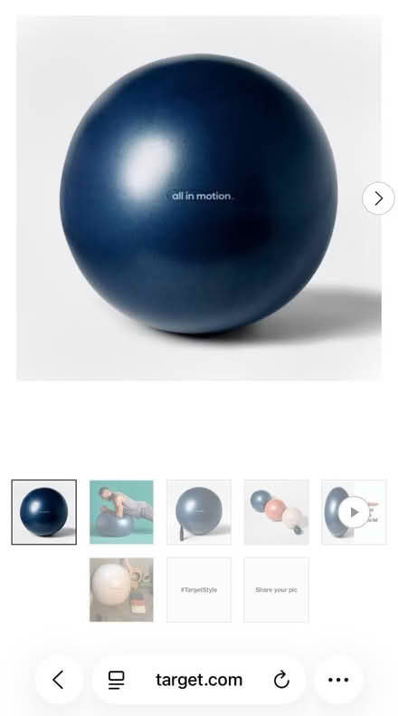 Photo of free Weighted stability ball (Shoreline West Mountain View) #2