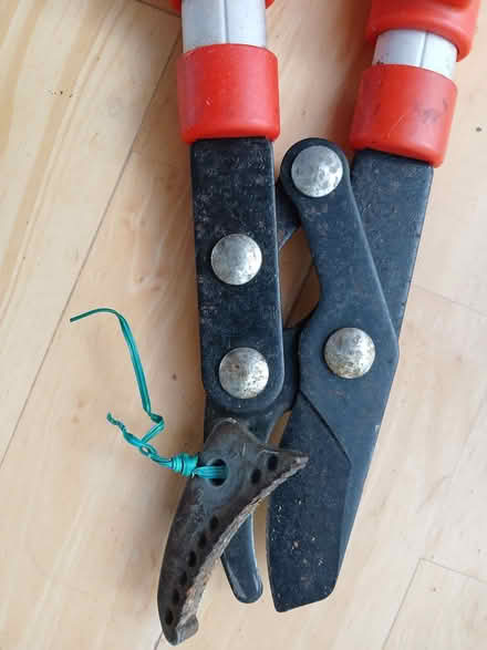 Photo of free Wilkinson Sword garden loppers - need mending (Shorton TQ3) #1