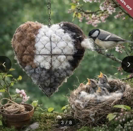 Photo of Alpaca or sheep’s bulk wool (Elmwood Park) #1