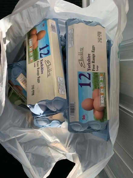 Photo of free Large bag of empty egg boxes (Norton Lees S8) #2