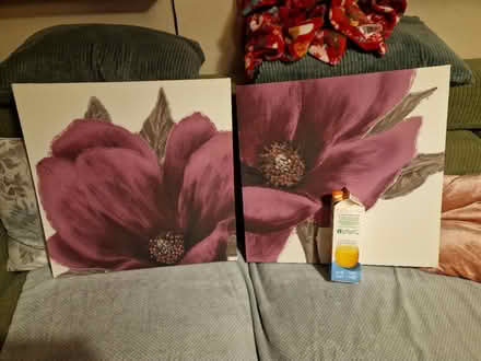 Photo of free Flower Canvases (Barton/Headington, OX3) #2