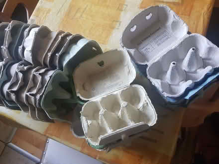 Photo of free Empty egg boxes (Corstorphine EH12) #2