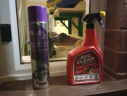 Photo of free Bug clear and flea spray (Headingley LS6) #1