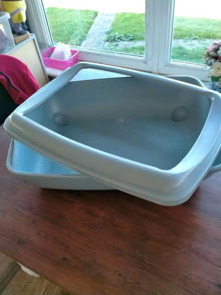 Photo of free Cat litter tray (Broadstairs CT10) #1