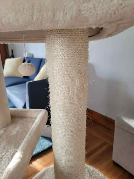 Photo of free 42" cat tree condo (North Oakland) #3