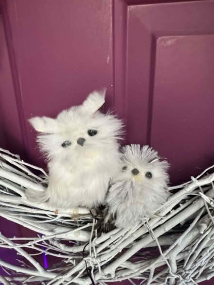 Photo of free Owl Wreath (Lafayette) #2