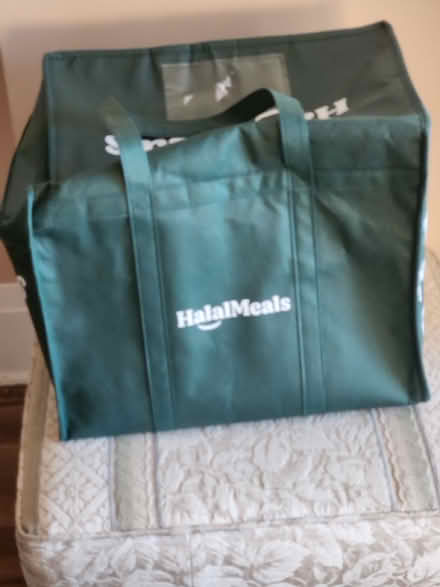 Photo of free Insulated Food Bags (Yonge and Sheppard) #1