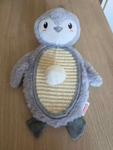 Photo of free Cat toys (Malvern Link WR14) #1