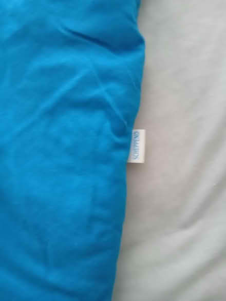 Photo of free Baby shark sleeping bag (Blackbird Leys OX4) #4