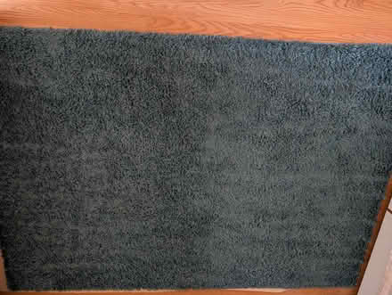 Photo of free Rug (West Fort Collins) #1