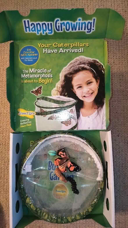 Photo of free Butterfly growing kit (The Sands DH1) #1