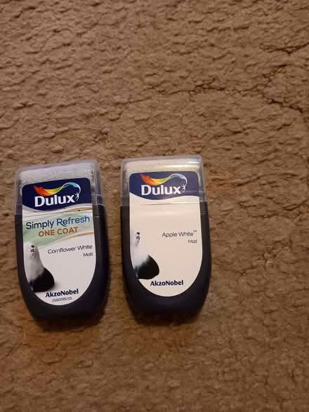 Photo of free Dulux paint tester pots (New Malden KT3) #1