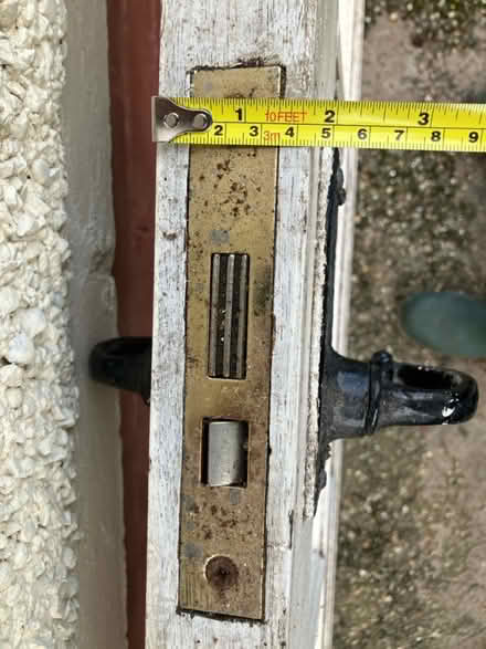 Photo of free Wooden exterior door 15 windows (Greenhill S8) #4