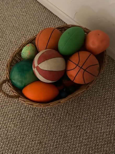 Photo of free Basket of balls for a toddler (Rockville, MD) #1