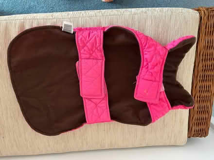 Photo of free pink quilted dog coat size L (Derwood, MD) #1