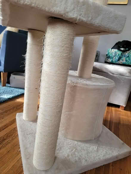 Photo of free 42" cat tree condo (North Oakland) #4