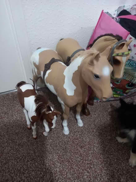 Photo of free Toy horses two large, one smaller (Stourbridge DY8) #1