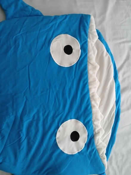 Photo of free Baby shark sleeping bag (Blackbird Leys OX4) #3