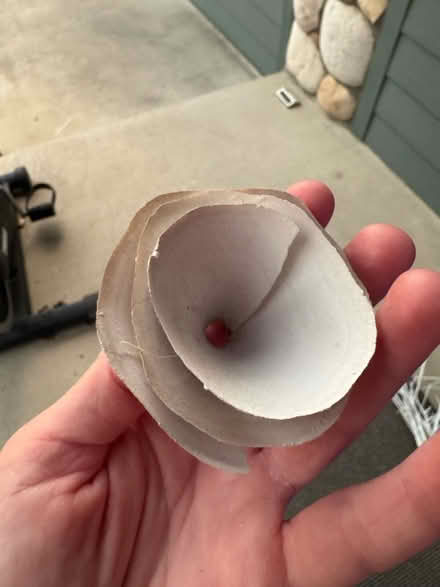 Photo of free Wreath - Wooden Roses (Lafayette) #2