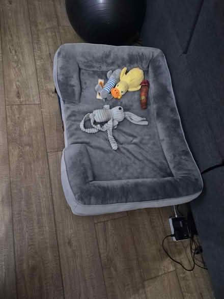 Photo of free Large dog bed (MK15 downhead park) #1