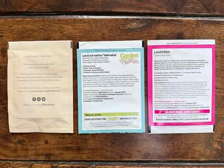 Photo of free Sunflower, lettuce & lavatera seeds (East Marden) #2