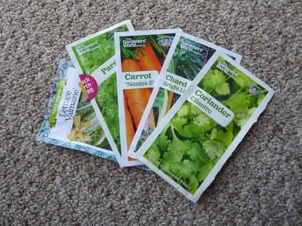 Photo of free Seeds (Vange SS16) #1