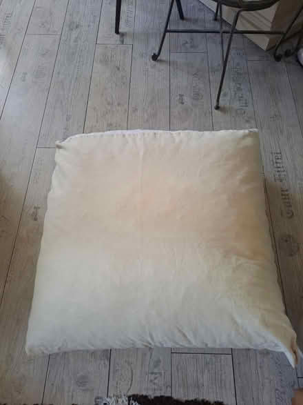 Photo of free Large Cushions x2 - Brockley (Crofton Park, Brockley) #1