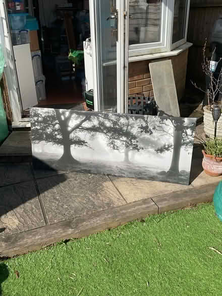 Photo of free Large IKEA Canvas Picture (RG30 Tilehurst) #1