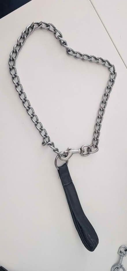 Photo of free Dog lead (BN27) #1