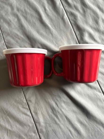 Photo of free Stoneware mugs with tops (New Hyde Park) #1