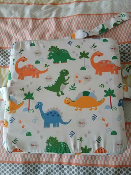 Photo of free Seat booster (Blackbird Leys OX4) #1